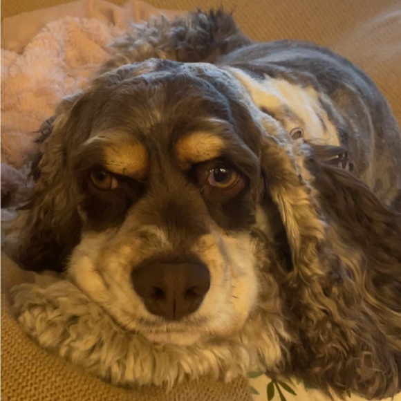 @browneyedgrl25 is LIVE! 💖 - Picture 11 of 13